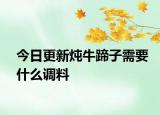 今日更新炖牛蹄子需要什么调料