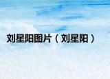 刘星阳图片（刘星阳）