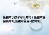 鱼腥草小孩子可以吃吗（鱼腥草宝宝能吃吗,鱼腥草宝宝可以吃吗）