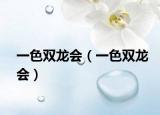 一色双龙会（一色双龙会）