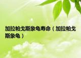 加拉帕戈斯象龟寿命（加拉帕戈斯象龟）