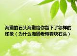 海獭的石头海獭给你留下了怎样的印象（为什么海獭老带着块石头）