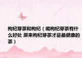 枸杞芽茶和枸杞（喝枸杞芽茶有什么好处 原来枸杞芽茶才是最健康的茶）