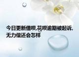 今日更新借呗,花呗逾期被起诉,无力偿还会怎样