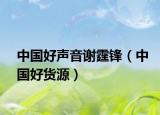 中国好声音谢霆锋（中国好货源）