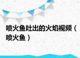 喷火鱼吐出的火焰视频（喷火鱼）