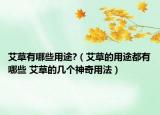 艾草有哪些用途?（艾草的用途都有哪些 艾草的几个神奇用法）