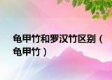 龟甲竹和罗汉竹区别（龟甲竹）