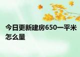 今日更新建房650一平米怎么量