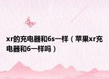 xr的充电器和6s一样（苹果xr充电器和6一样吗）