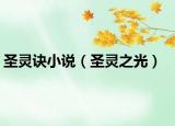 圣灵诀小说（圣灵之光）