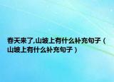 春天来了,山坡上有什么补充句子（山坡上有什么补充句子）