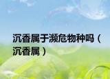 沉香属于濒危物种吗（沉香属）