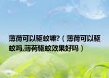 薄荷可以驱蚊嘛?（薄荷可以驱蚊吗,薄荷驱蚊效果好吗）