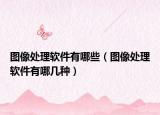图像处理软件有哪些（图像处理软件有哪几种）