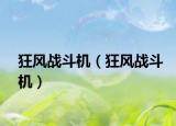 狂风战斗机（狂风战斗机）