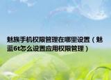 魅族手机权限管理在哪里设置（魅蓝6t怎么设置应用权限管理）