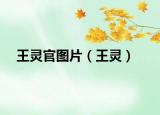 王灵官图片（王灵）