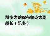 凯多为啥称布鲁克为副船长（凯多）