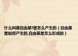 什么叫做自由基?是怎么产生的（自由基是如何产生的,自由基是怎么形成的）
