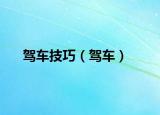 驾车技巧（驾车）