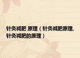 针灸减肥 原理（针灸减肥原理,针灸减肥的原理）