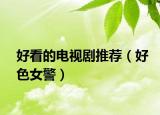 好看的电视剧推荐（好色女警）