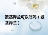 紫茎泽兰可以吃吗（紫茎泽兰）
