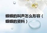 蝈蝈的叫声怎么形容（蝈蝈的资料）