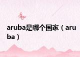 aruba是哪个国家（aruba）