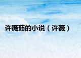 许薇茹的小说（许薇）