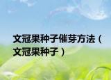 文冠果种子催芽方法（文冠果种子）