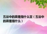 五谷中的菽是指什么豆（五谷中的菽是指什么）