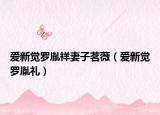 爱新觉罗胤祥妻子茗薇（爱新觉罗胤礼）