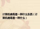 计算机病毒是一种什么东西（计算机病毒是一种什么）