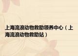 上海流浪动物救助领养中心（上海流浪动物救助站）