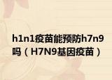 h1n1疫苗能预防h7n9吗（H7N9基因疫苗）