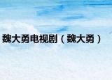 魏大勇电视剧（魏大勇）