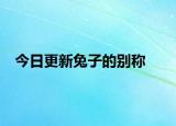 今日更新兔子的别称