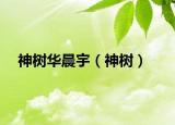 神树华晨宇（神树）