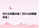 为什么叫跳水蛙（为什么叫跳蚤市场）