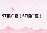 ST银广夏（ST银广夏）