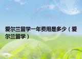爱尔兰留学一年费用是多少（爱尔兰留学）