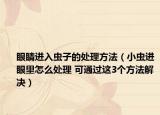 眼睛进入虫子的处理方法（小虫进眼里怎么处理 可通过这3个方法解决）