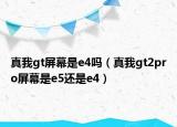 真我gt屏幕是e4吗（真我gt2pro屏幕是e5还是e4）