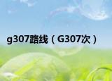 g307路线（G307次）