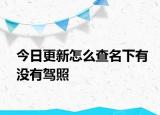今日更新怎么查名下有没有驾照
