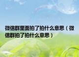 微信群里面拍了拍什么意思（微信群拍了拍什么意思）