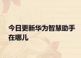 今日更新华为智慧助手在哪儿
