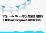 华为mate20pro怎么隐藏应用图标（华为mate20pro怎么隐藏刘海）